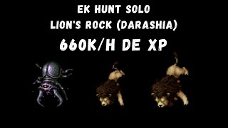 TIBIA  EK HUNT SOLO LIONS ROCK  660KH LEVEL 70 [upl. by Mukul644]