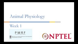 PMRFNPTEL Session on Animal Physiologynoc24bt56 Week 1 [upl. by Eslud]