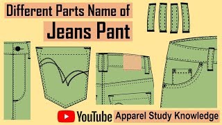 Different Parts Name of a Jeans Pant [upl. by Amalburga283]