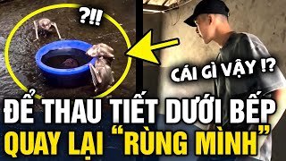 Để THAU TIẾT dưới bếp chàng trai vào nhà lấy đồ trở lại thì THẤY CẢNH RỢN NGƯỜI  Tin 3 Phút [upl. by Aizirk]