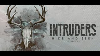 Intruders Hide and Seek  PSVR Review [upl. by Zingale]