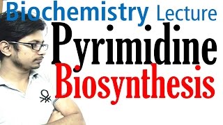 Pyrimidine biosynthesis [upl. by Jankell]