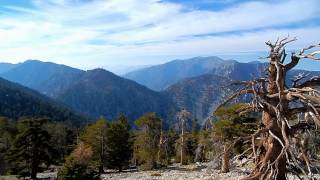 Cucamonga Peak  San Gabriel Mtns [upl. by Neilla454]