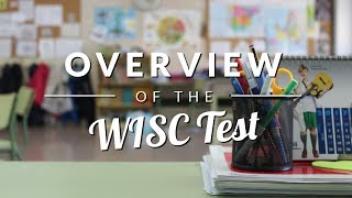 WISC Test Overview  TestingMomcom [upl. by Ahtram470]