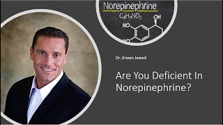 Are You Deficient In Norepinephrine [upl. by Armyn]