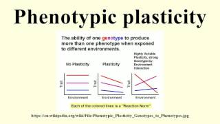 Phenotypic plasticity [upl. by Midas]