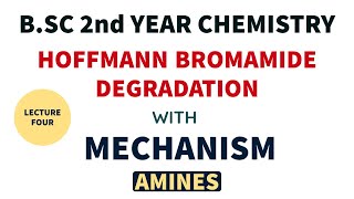 Hoffman Bromamide Degradation  Reaction with Mechanism  BSC 2nd Year Chemistry Amines [upl. by Anniahs]