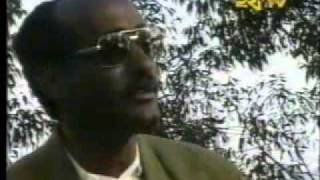 Eritrea Tigre  balagrin by Idris Mohammed Ali ስነ ጥበባዊ እድሪስ መሓመድ ዓሊ [upl. by Olga]