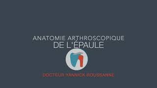 anatomie arthroscopique de lépaule [upl. by Esinnej180]