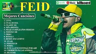 Feid Mix Exitos 2024  LAS MEJORES CANCIONES DE FEID [upl. by Dnomad]