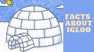 interesting facts about igloos [upl. by Avonasac489]