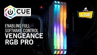 How To Enable Full Software Control for CORSAIR VENGEANCE RGB PRO [upl. by Obel]