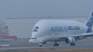 Beluga 2 landing in Finkenwerder [upl. by Wolsky]