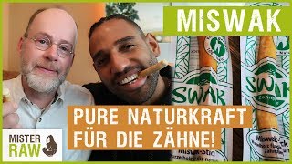 Miswak  Pure Naturkraft für die Zähne [upl. by Blondie]