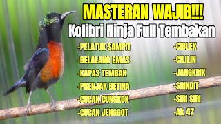 MASTERAN KOLIBRI NINJA FULL TEMBAKAN ISIAN LOMBA TERBUKTI AMPUH BIKIN KONIN JUARA [upl. by Nyltiac]