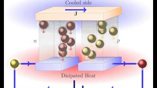 Peltier Effect Thermoelectric cooling [upl. by Ferna514]