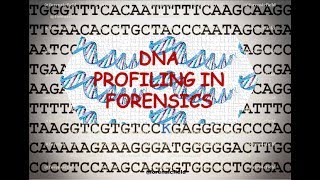 DNA PROFILING IN FORENSICS [upl. by Christyna]