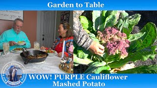 CAULIFLOWER MASHED POTATOES  PURPLE lowcarb mashed cauliflower [upl. by Alithea]