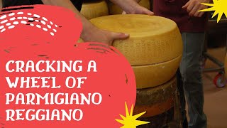 Cracking A Wheel Of Parmigiano Reggiano [upl. by Nawtna]