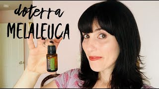 doTERRA Melaleuca Essential Oil [upl. by Chellman]