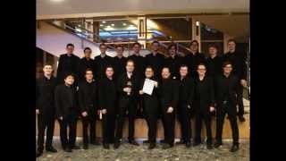 Ensemble Vocapella Limburg  Franz Schubert Wein und Liebe live [upl. by Itsuj]