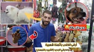 كلاب راقية و أتمنة شعبية عند عاشق الكلاب 🐕🐕‍🦺🦮شبيه التمساح الجديد [upl. by Suoivatra]