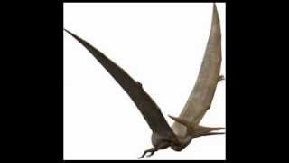 Sonidos reales de Pterodáctilo  Pterodactyl Sounds [upl. by Duthie241]