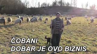 ČOBANI IZ SELA VUKOTIĆI Zenica  DOBAR JE OVAJ BIZNIS [upl. by Elyssa751]