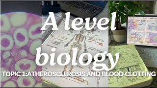 A level biology edexcel A SNAB Topic 1 Atherosclerosis and Blood Clotting [upl. by Flam]