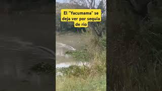 El yacumama aparece en rio durante la sequíamuchos pobladores así lo confirman [upl. by Themis637]