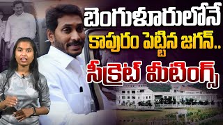 మకాం మార్చిన జగన్  YS Jagan in Bangalore  CM Chandrababu  AP Politics  Rocket News [upl. by Norton611]