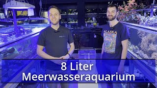 Wir richten ein 8L Meerwasserbecken ein  AquaMedic Armatur XS  mit Severin [upl. by Abdu]