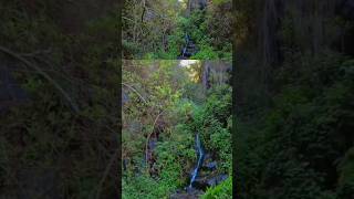 Barranco del Cedro Hermigua LaGomera SantaCruzDeTenerife IslasCanarias CanaryIslands Travel [upl. by Shipp]