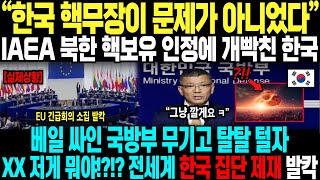 quot제발 한국 뜯어 말려야 한다quot IAEA 사무국장 폭탄발언에 개빡친 한국 12년 묵은 무기고 공개하자 quotXX 뭘 만들고 있었던 거야quot 전세계 난리나버린 이유 [upl. by Lonna]