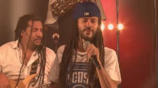 SINSEMILIA 📀📺 MARLEY Feat Balik  Danakil DVD reggae Addicts [upl. by Debi]