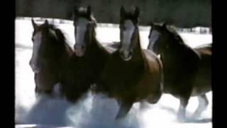 1992 Budweiser Beer Clydesdale Horse Commercial [upl. by Assenej]