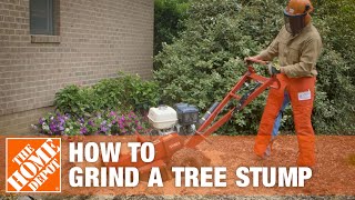 How To Grind A Tree Stump  The Home Depot [upl. by Naejeillib]