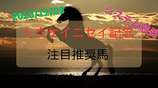 【地方競馬重賞予想】2023年12月3日水沢12Rトウケイニセイ記念 [upl. by Enilraep384]