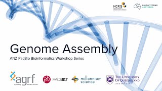 Genome Assembly  ANZ PacBio Bioinformatics Workshop Series [upl. by Enileuqaj]