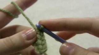 How to Crochet Half Double Crochet HDC [upl. by Assira]