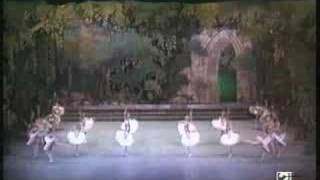 ROSARIO SUAREZ CHARIN CISNE BLANCO SWAN LAKE 02 [upl. by Swayne]