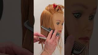 How to Cut Blunt Bob Haircut with Scissors  Technical Deep Dive shorts short [upl. by Abas]