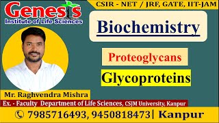 Proteoglycans  Glycoproteins  Lecture7  New online quotBatchquot for CSIR NETJRF  IITJAM [upl. by Ximena]