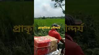 অপরুপ দৃশ্য villagebeauti shotsvideo viralvideos foryouviralvideo 2024 [upl. by Novyart]