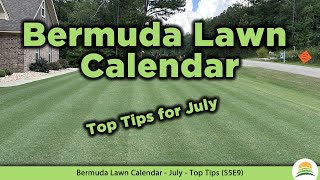 Bermuda Lawn Calendar  July  Top Tips ☀️ S5E9 [upl. by Forsta436]