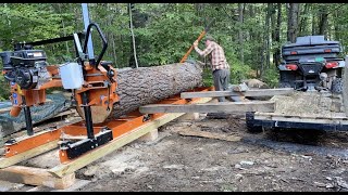 Biggest Log Possible  WoodMizer LX25  26quot White Pine [upl. by Westney]