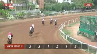 Live Hippodrome « CASABLANCA »  Courses du «06092024 » [upl. by Rebmit193]