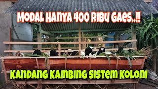 Membuat Kandang Kambing Sistem Koloni Tak Perlu Modal Banyak Gaes  Tiga Saudara Farm [upl. by Jessen]