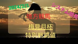 【地方競馬重賞予想】2024年2月1日名古屋11R梅見月杯 [upl. by Karry260]