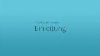 Wawibox Pro  Erstinventur  Vorwort [upl. by Repohtsirhc171]